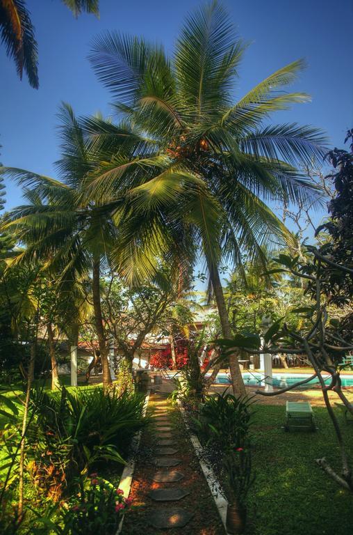 Ypsylon Tourist Resort Beruwala Exteriör bild